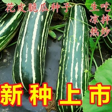 ��Ƥ�ֹ����������ִ��ĸ߲��˹�������̨���Դ��ﲥ��ֲ�߲�����