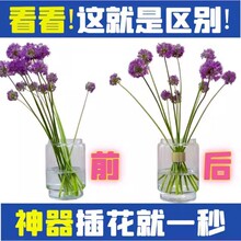 �����廨����������ƿ�մɻ���̶��r�����û�ˇ����Ͳ�k���Ҕ[��