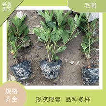 ë�� ë��� ë�� ����ֱ�l ë���N �����N ���N�� Ҏ���Rȫ