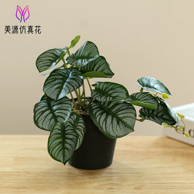 New hanging green plant bonsai manufacturer Plant bonsai Creative Room indoor small ornaments Amazon green plant