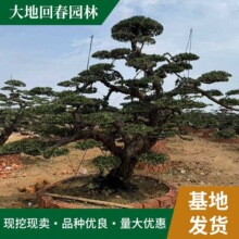 ع  լֲGľ@־^30Lhh_h͘