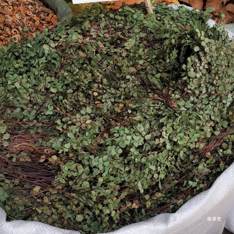 猪鬃草500克 铁线蕨 铁线草水猪毛七猪毛草黑骨芒箕真货好货