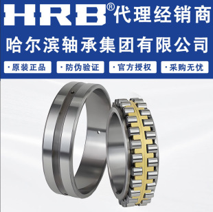 �����I�S�� NN 3022K / P5 W33�C�����S���� �߾��� �p�ЈA���L��