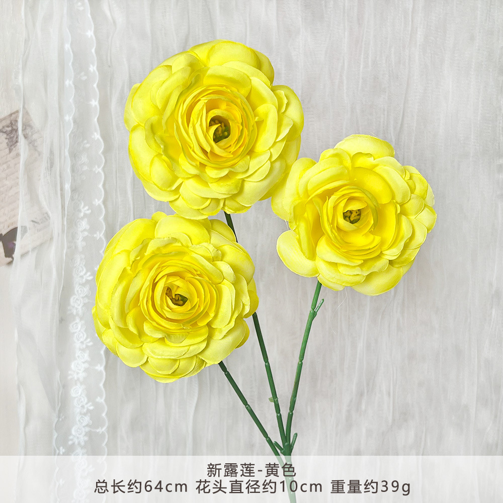 WP-新露莲-黄色