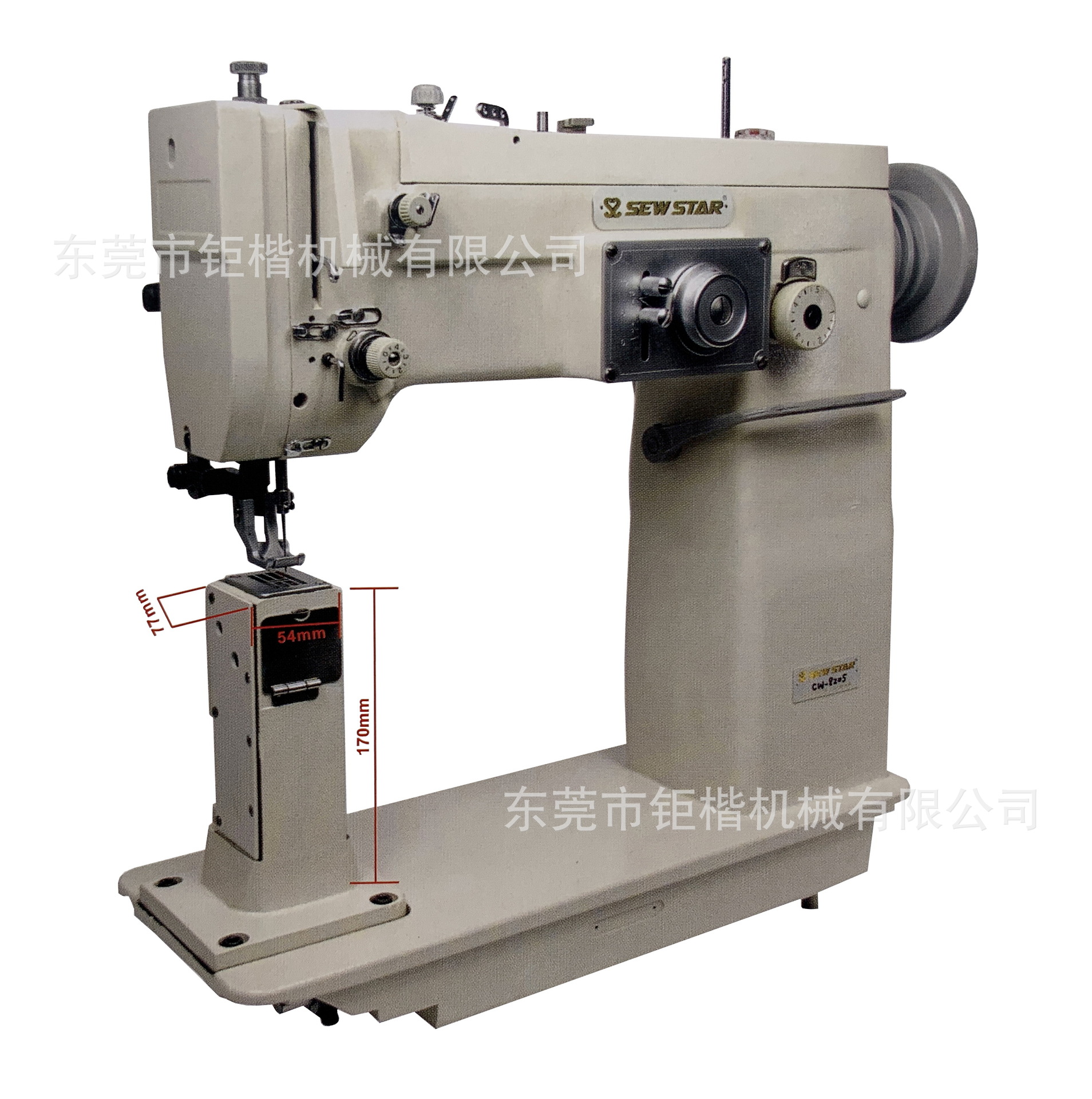 �������ֳ����������͸�ͷ����Ѻ��