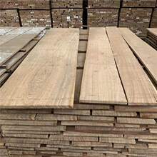 z295  小斑马木 乌金木 小斑马原木小斑马板材大斑马板材优质木