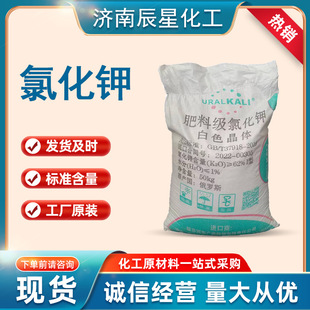 ���l���I���Ȼ�� �I�B���a���r�I�����_˹⛷ʺ���62%�r���Ȼ��