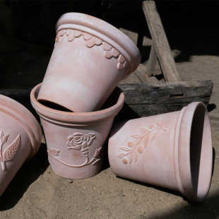 ���Q�t�ջ���͸������õ�����^����ֲ��@�ּt��������_�R�S��