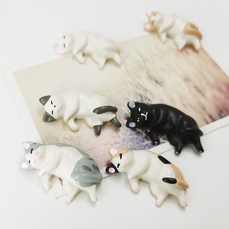 IMG_20220221_154451-