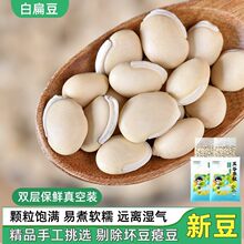 ������ڰױⶹ��؛�r������s�Z��؛���޲�׳�С����͌����߲�