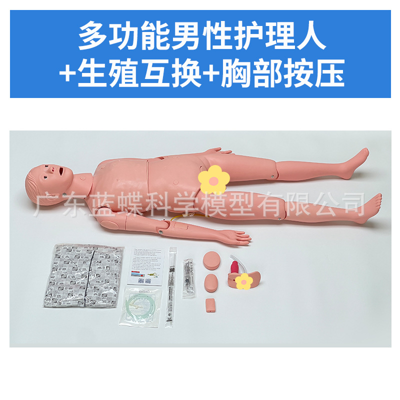 Ů�Ի�����ģ�� �������������ϻ�����ѵ ��ɩ����ʦ�̾߻���ģ��