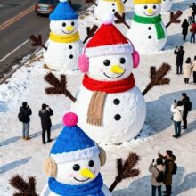 ѩ�˲�Ƥ����b�õ��ܻ�ѩ���Θ��@�������}���b[�������T�~