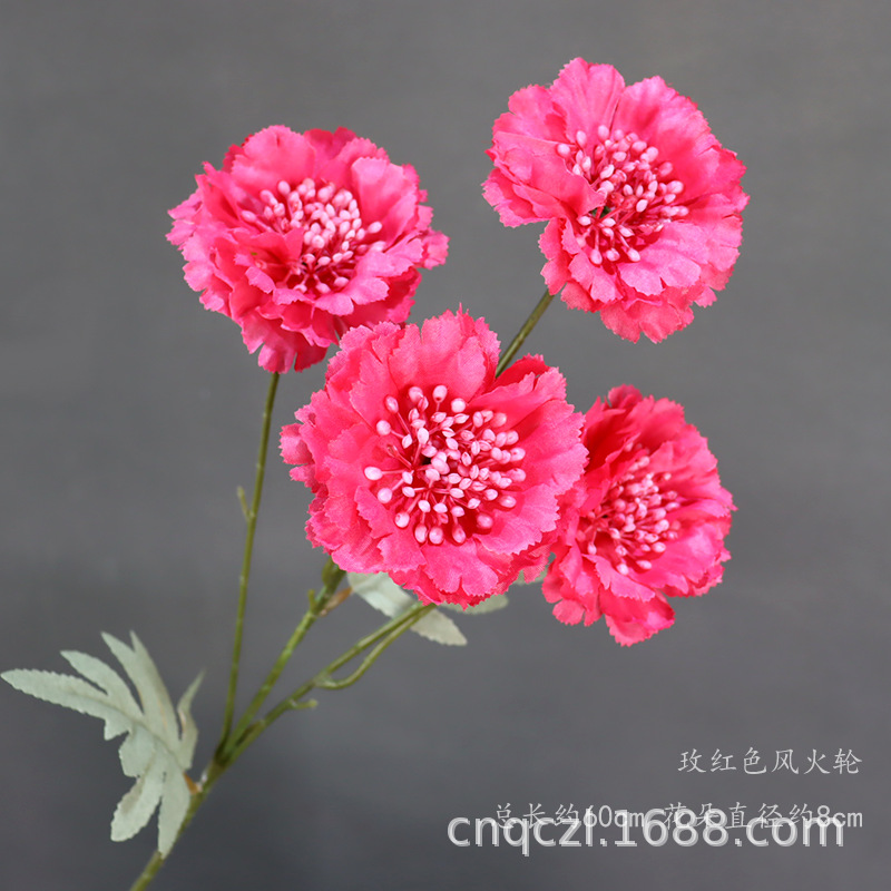 Ruedas calientes rojas de Rose