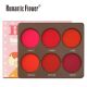 For cross-border export 6 color blush makeup plate matte waterproof makeup European and American multi-color makeup rouge
