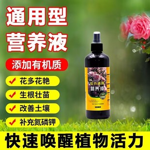Nutrient Solution, General-Purpose Plant and Flower Fertilizer, for Home Gardening, Potted Plants, Soil, Hydroponics, and Special Use for Fresh Flowers