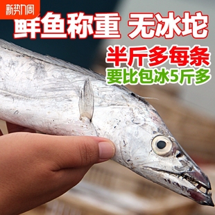 ���r���~��5����~�ж�С�۵��~���r�S���|�����~�zɽ�|