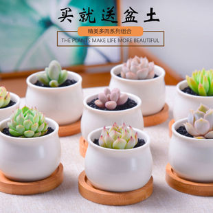 ����ֲ��С�������b�M�Ϻ��B�׻���ɐ��҃�����ֲ��莧����