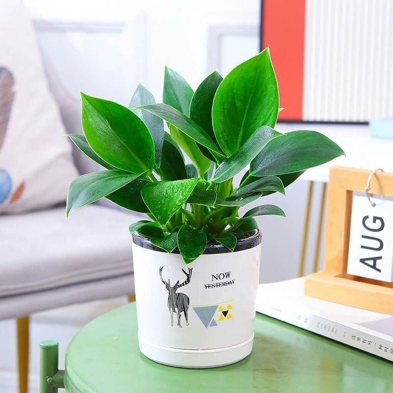 3개의 금 다이아몬드 25-30cm 엘크 도자기 세면대 + 영양액