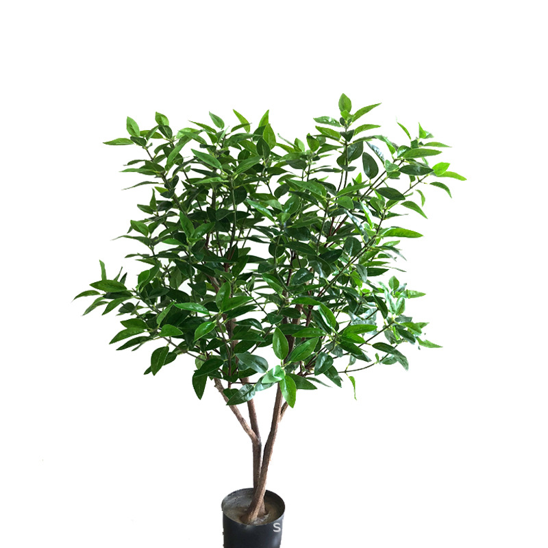 XRS-077 盆栽橄榄叶1.1米.jpg