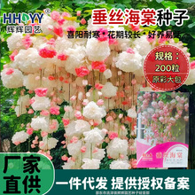 ���z���ķN�Ӵ��z���Ę��Ѱ��⺣�ķN�ӻ�������ֲ���̨���ԷN��