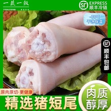 新鲜冷冻短猪尾巴整根农家散养土猪肉带皮去毛生鲜食材顺丰包邮