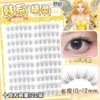 Korean elf