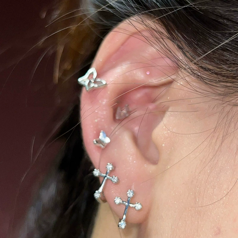 Universal earrings with zircon, simple and elegant design, internet celebrity