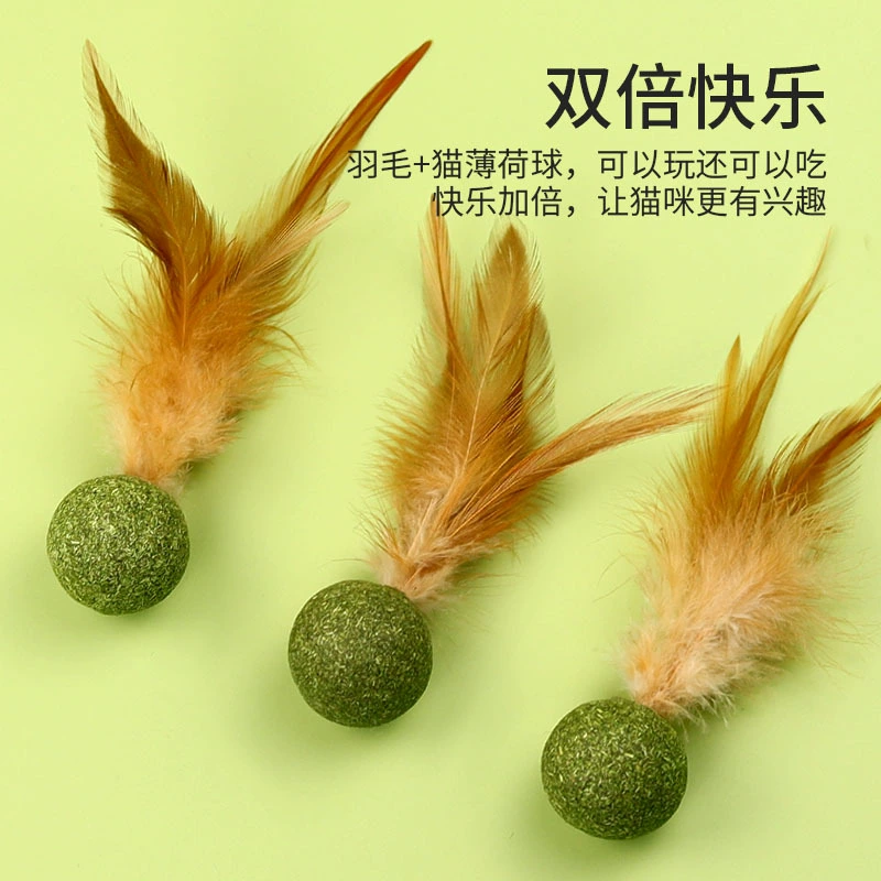 Куриное перо Кошка Мятный мяч Кошачье перо Игрушечный мяч Кошачьи закуски Чистка зубов и молярная кошачья трава Производитель игрушек для кошек