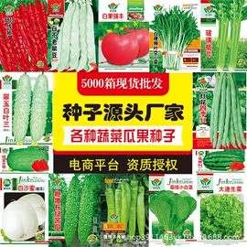 蔬菜种子