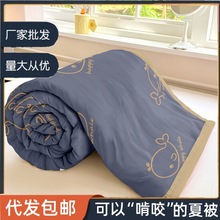 水洗棉空调被夏季夏凉被非全棉纯棉冰丝被子薄被芯学生宿舍床抗菌