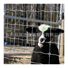 工厂现货热镀锌养殖防护围栏牛栏网马网草原网