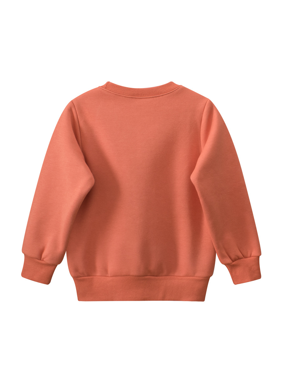 27kids Ropa infantil estilo coreano otoño e invierno nueva colección 2024 sudaderas infantiles ropa para niños dinosaurio tendencia mayorista transfronteriza image 7