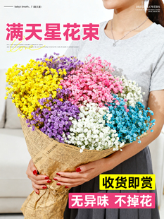 �M���Ǹɻ������͏d�b[���r�����ò廨��ϻ���ֱ�l���������l