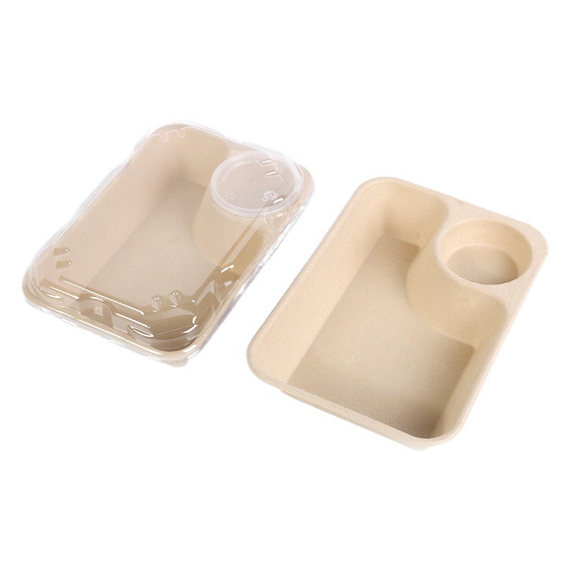 Caja de almuerzo de comida ligera caja de almuerzo para llevar caja de embalaje con salsa taza dumpling caja de fruta caja de ensalada de pulpa desechable