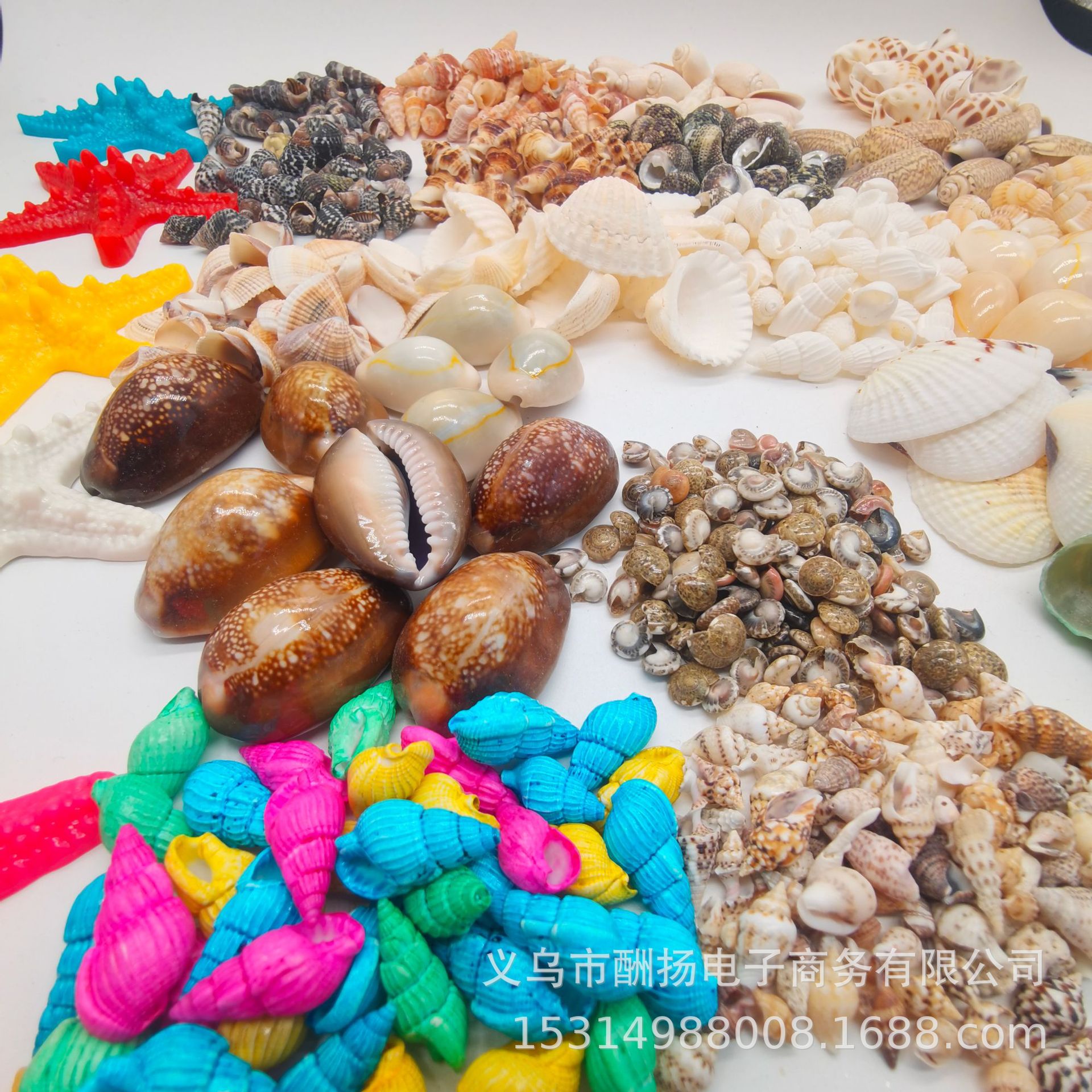 100 kinds of small seashells and conches, weighed by weight, 1-5cm, for aquarium base decoration, seashell craft accessories.