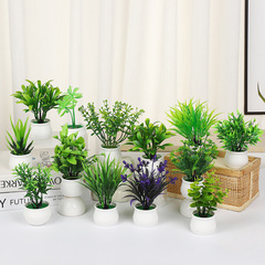 北欧insシンプルなシミュレーション緑植オフィス環境保護鉢植え客間ベランダのデスクトップ美化緑植小鉢植え