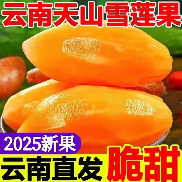 现挖现发云南天山雪莲果当季新鲜水果脆甜多汁一整箱一件代发