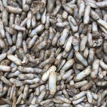 Ұ���|���� �|��ԭ�a�����l�Oؐ���T�|�r����