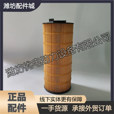 Weichai WP17 diesel engine Oil filter