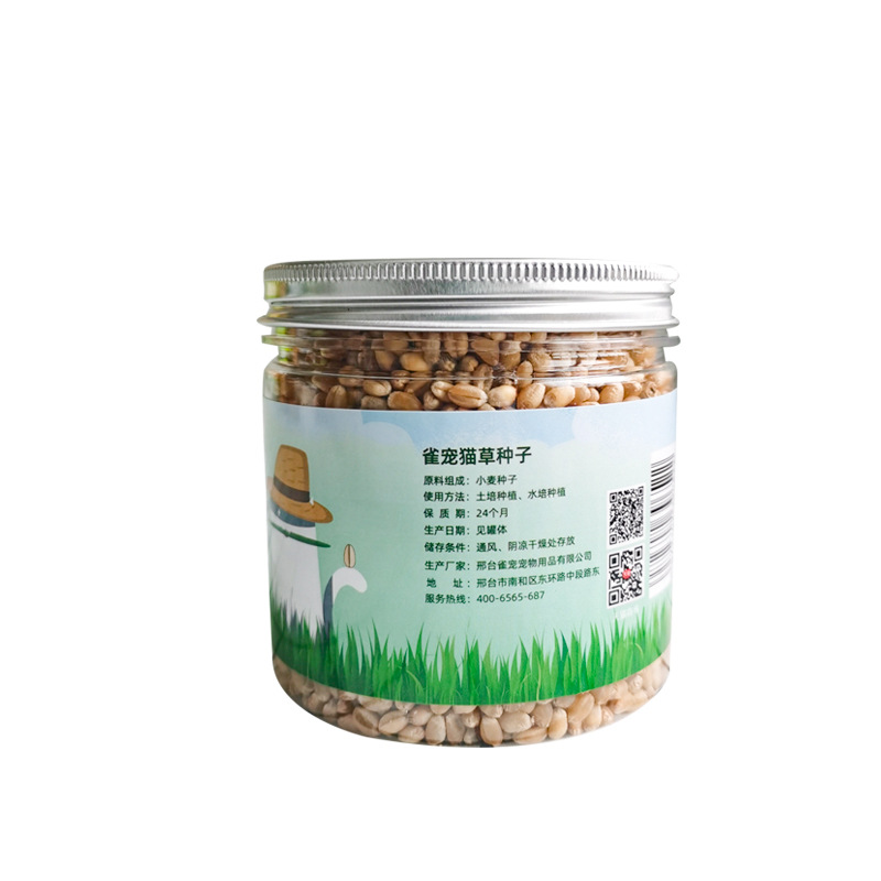 猫草籽猫草种子有效去毛球助消化水培盆栽猫薄荷种孑营养土猫零食
