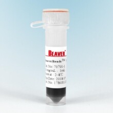 70702-5海狸NHS琼脂糖磁珠微球无需活化可直接与生物配体共价偶联