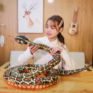���R�d�羳ë�q���˸�ֿ�ͨ����ë�q����¿��������̖����ż
