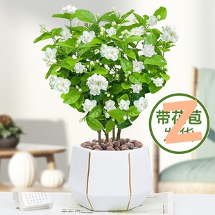 ���������ذ�����_���ļ�������B�҃��̨���ܾGֲ��òݷ���