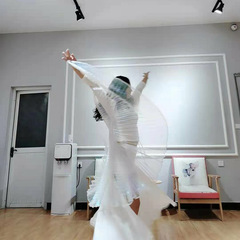 Dance Rhythm Adult Wing Hand Hook Version White Transparent Gold Wing Dance Performance Prop Cloak Belly Dance Costume for Photography