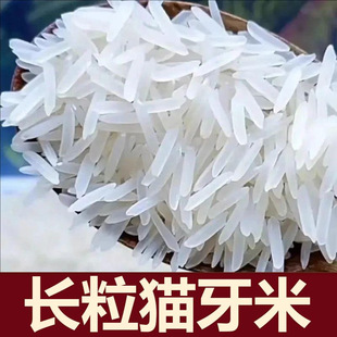 ؈�����L�������������׶i�׽z���״����������ܛŴ���l���l