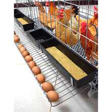 �����B�u���B�u�\�����u����ھW������ԄӝL����̖�F�z�Bֳ�\