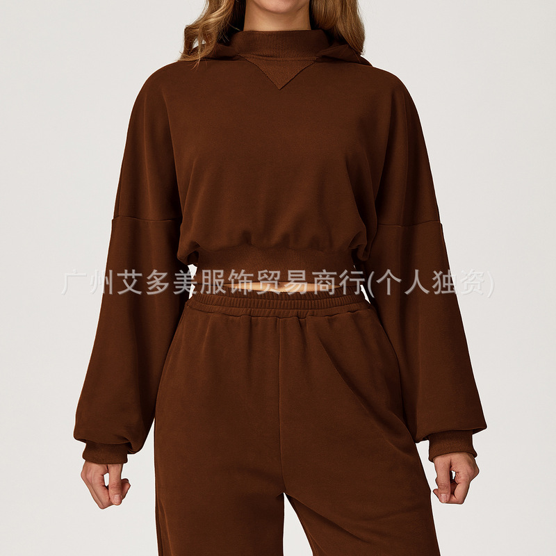 alo跨境秋冬连帽卫衣套装休闲户外宽松百搭套装女休闲跑步运动服|undefined