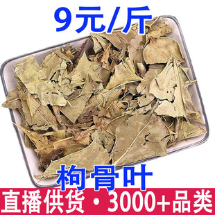 �����~ �۹��~ ؈���� �����~��؛���l ����ă�
