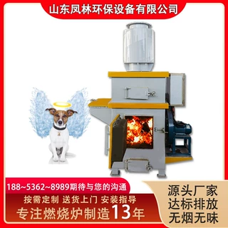 rto蓄热式焚烧炉 二次燃烧炉 动物尸体死鸡焚化炉 塑料焚烧机