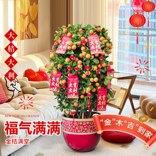 ��ۘ����Ԏ�������ļ�����Gֲ���҃ȿ͏d����������ؔ�_�I�ͶY